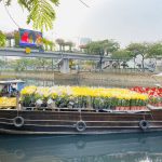 Chủ vườn hoa cúc, hoa mào gà từ miền Tây lên Sài Gòn